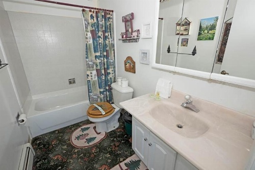 Saddle Home 4221 image 25